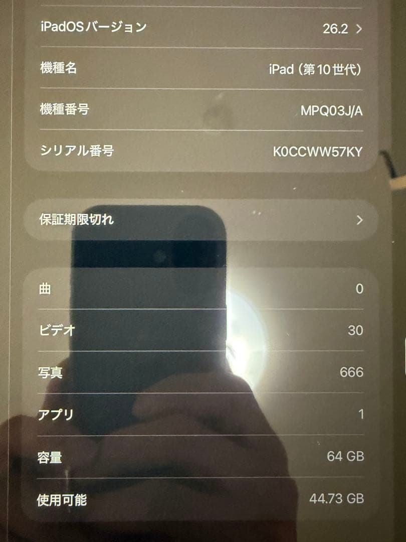 ☺️さん専用iPad 10世代　Wi-Fiモデル　64gb 美品　シルバー