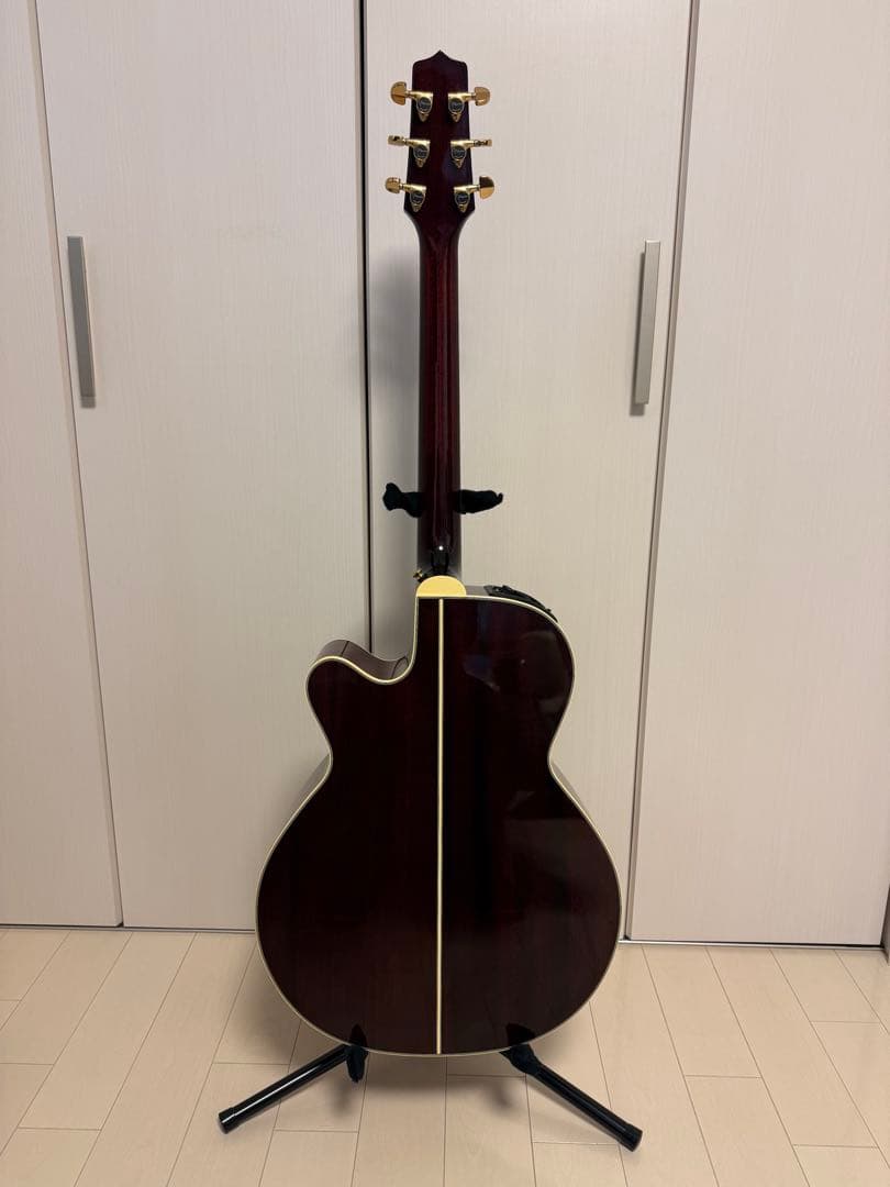 Takamine タカミネ DMP551C WR エレアコ ギターケース付き