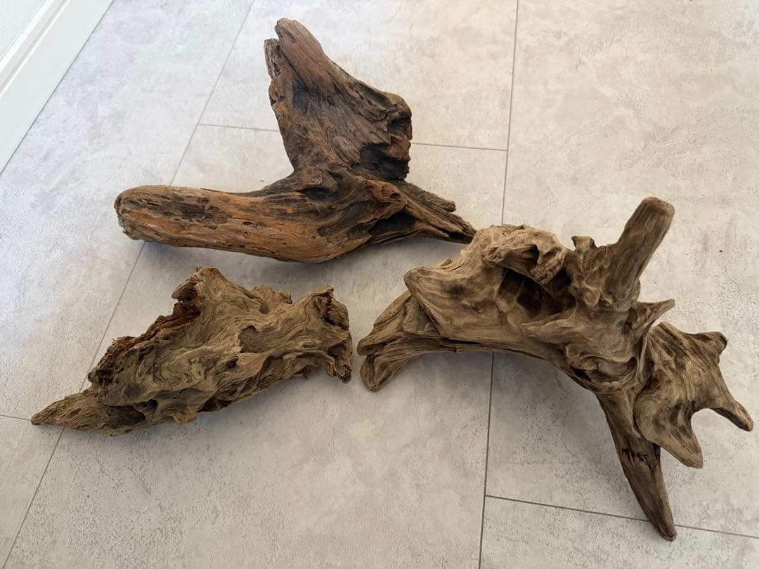 直径60cm メダカ鉢 飼育スタートセット