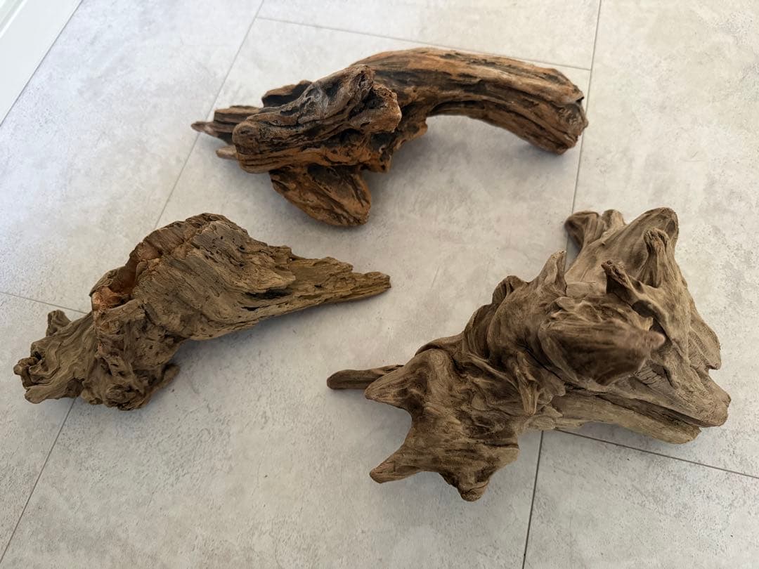 直径60cm メダカ鉢 飼育スタートセット