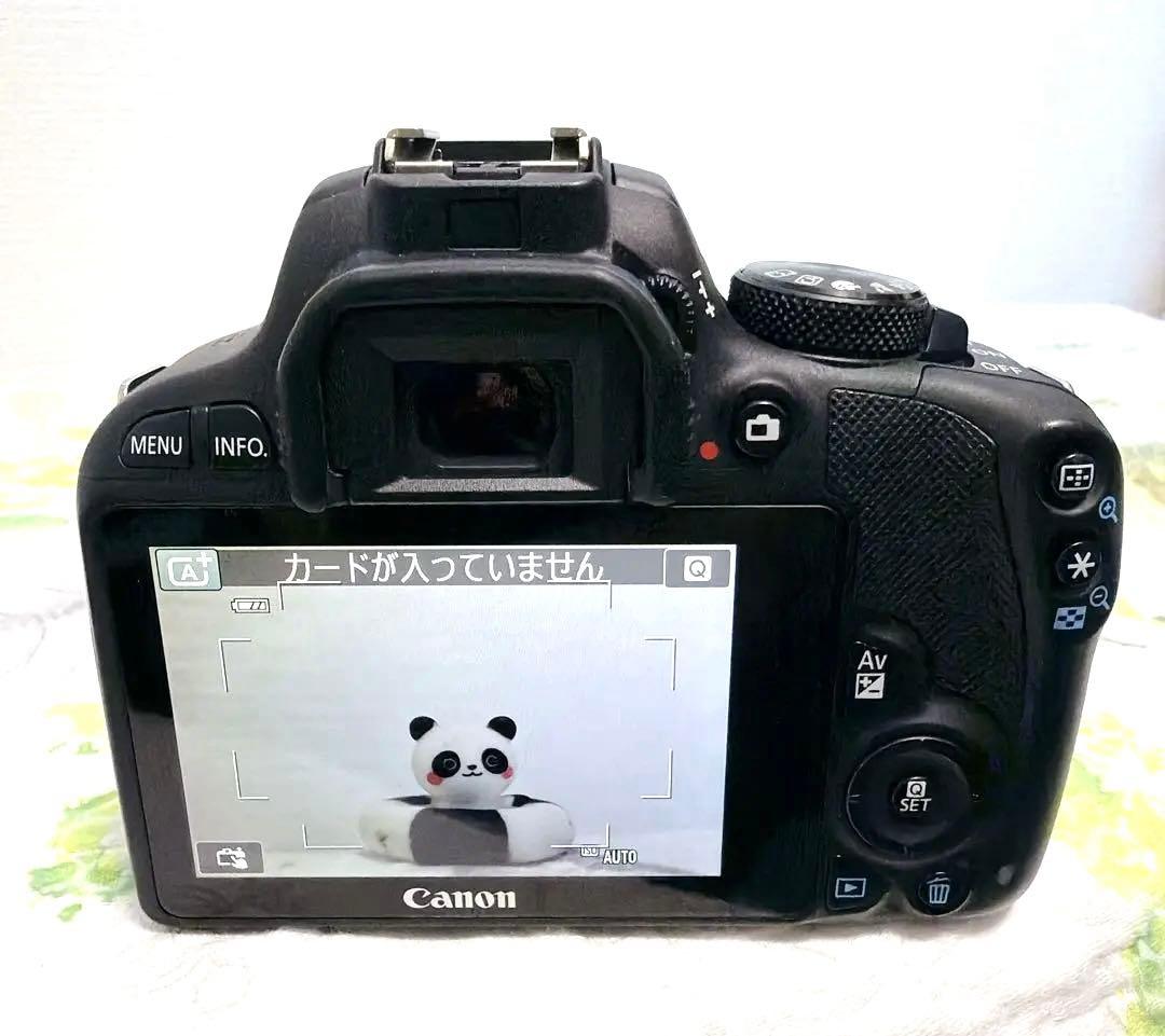 【美品】Canon EOS Kiss X7 ダブルレンズ キャノン♥️初心者♥️