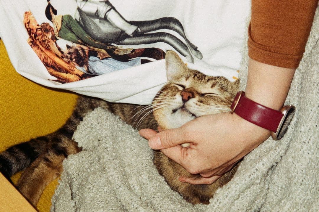 【動作OK 作例あり】Olympus μ Zoom 105 フィルムカメラ