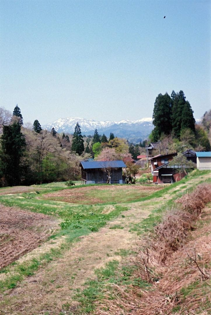 【実写確認整備品】コンティナⅡ／Zeiss-Optonテッサー45mmf2.8付