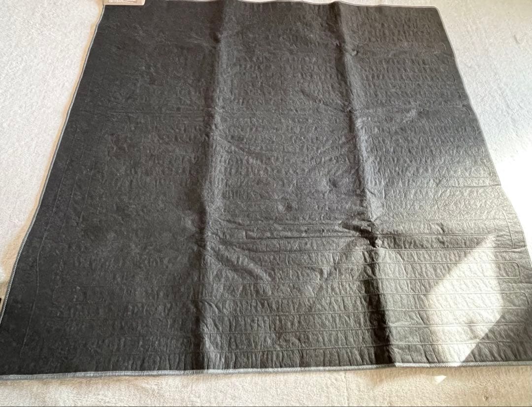 パナソニック 電気カーペット ホットカーペット 2畳相当 DC-2HA