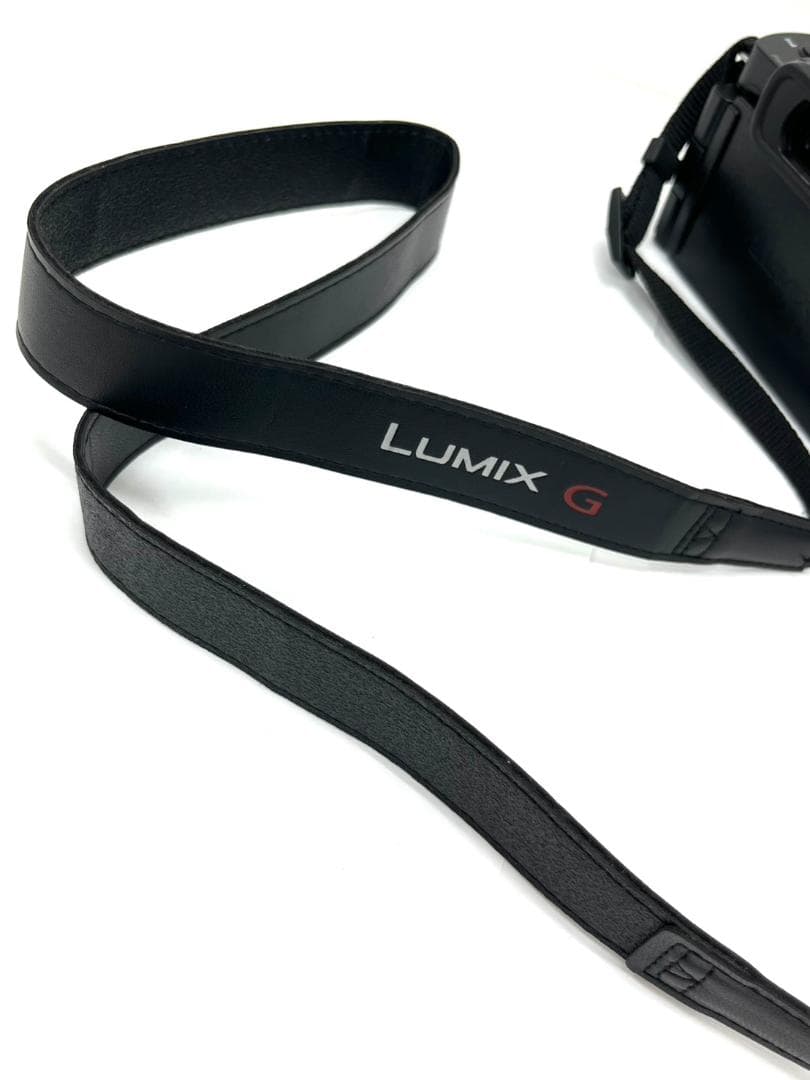 26H1-168 Panasonic パナソニック LUMIX DC-G100D