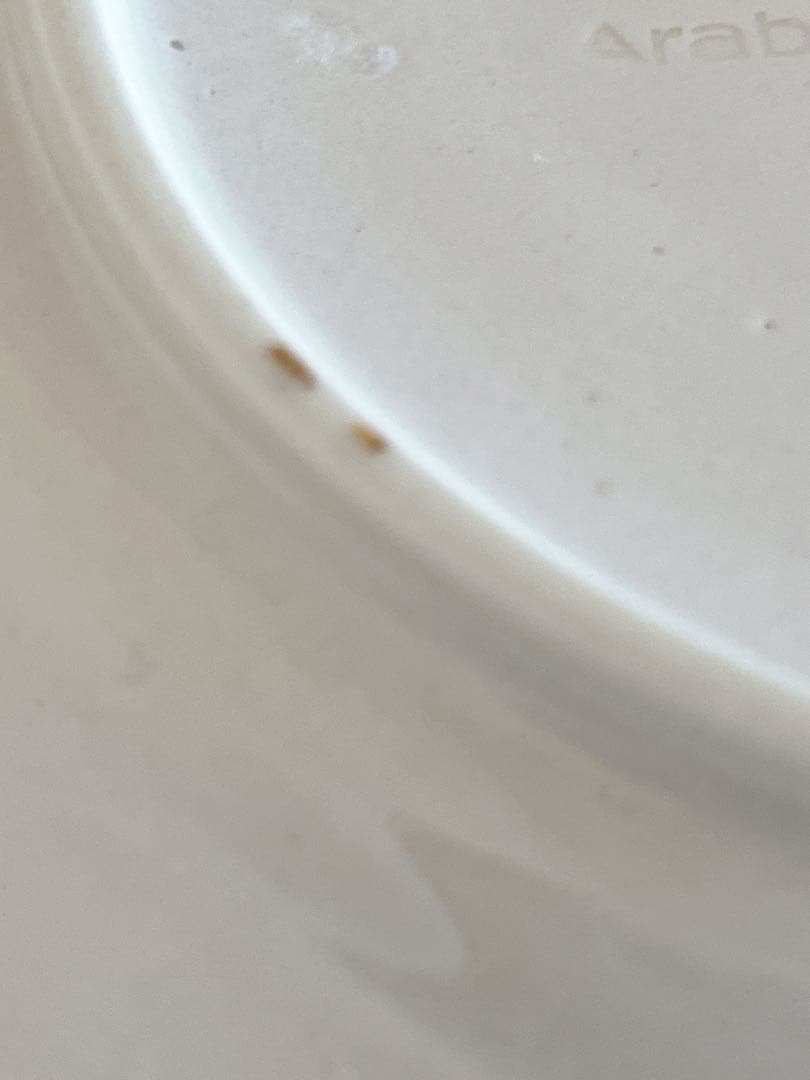 old Arabia＊Miranda＊20cm plate・*