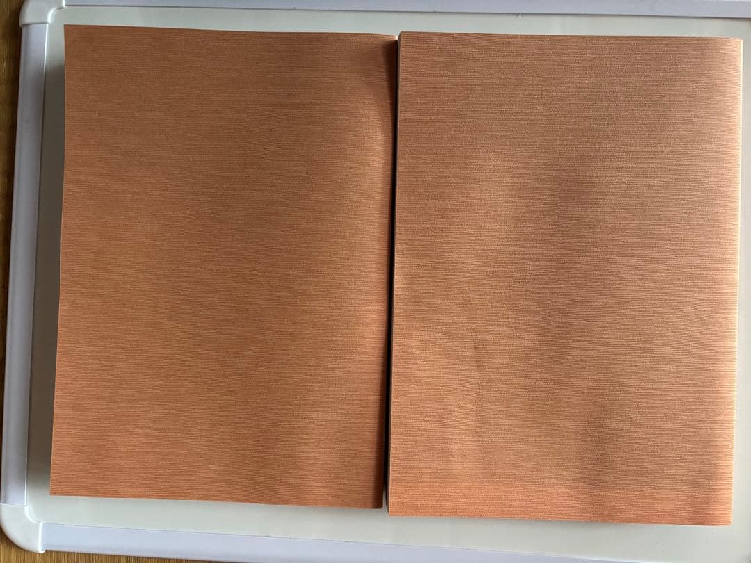 運命 合本　2冊セット　第1号～第100号　日本運命学会　/中村文聡/四柱推命