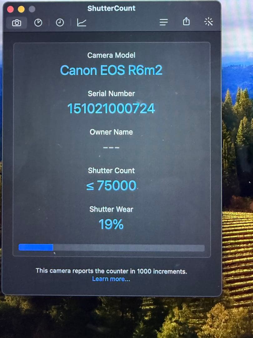 キヤノン EOS R6 Mark II ボディ + BG-R10