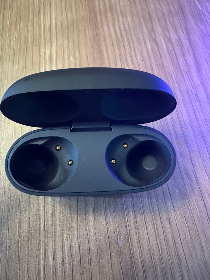 Wf-1000xm5 Sony ケースのみ