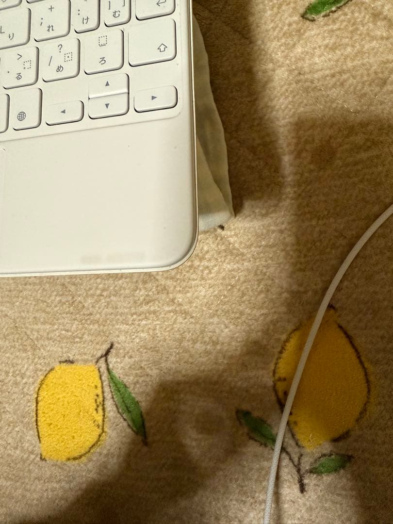 ※7月5日迄　iPad Pro 第三世代11インチ　Magic Keyboard