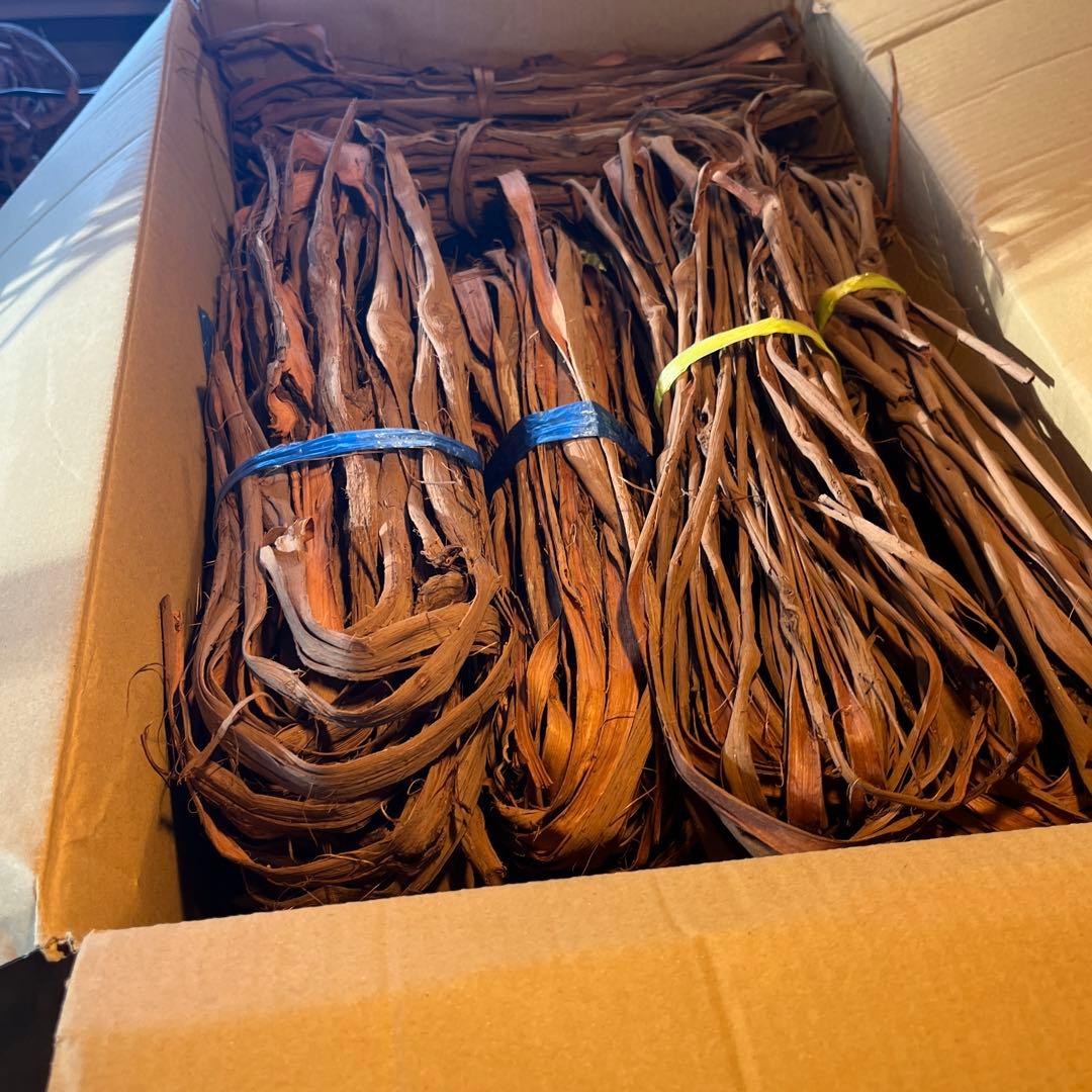 ラッキー　山葡萄の蔓