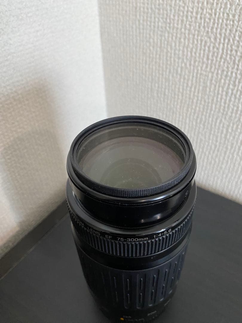 CanonEOSkissX9レンズキット＋CanonEF75-300mm