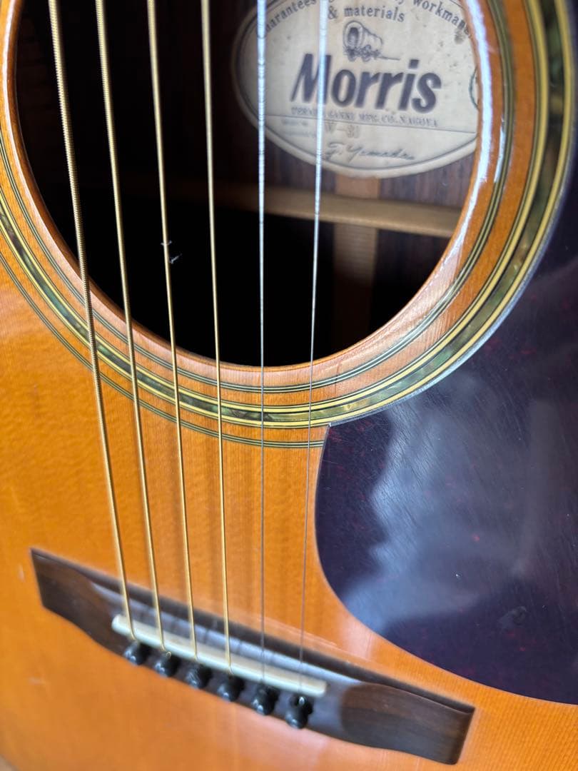 モーリスW30 ジャパンヴィンテージ　アコギ
