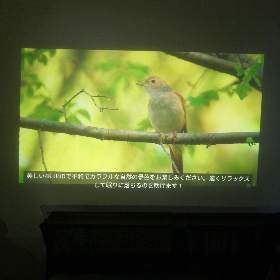 Ef-100w epson プロジェクター　Dreamio　訳あり