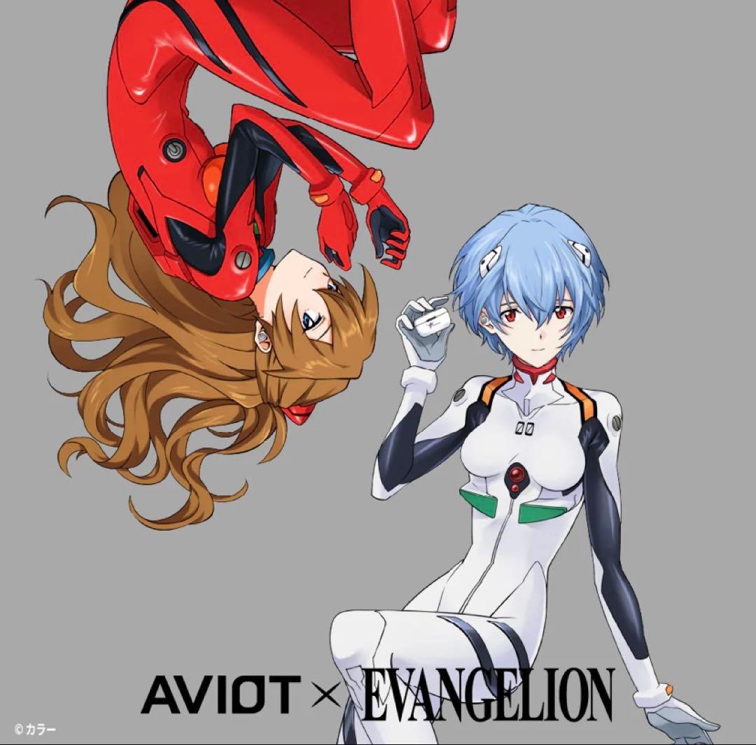 TE-V1R-EVA AVIOT ワイヤレスイヤホン