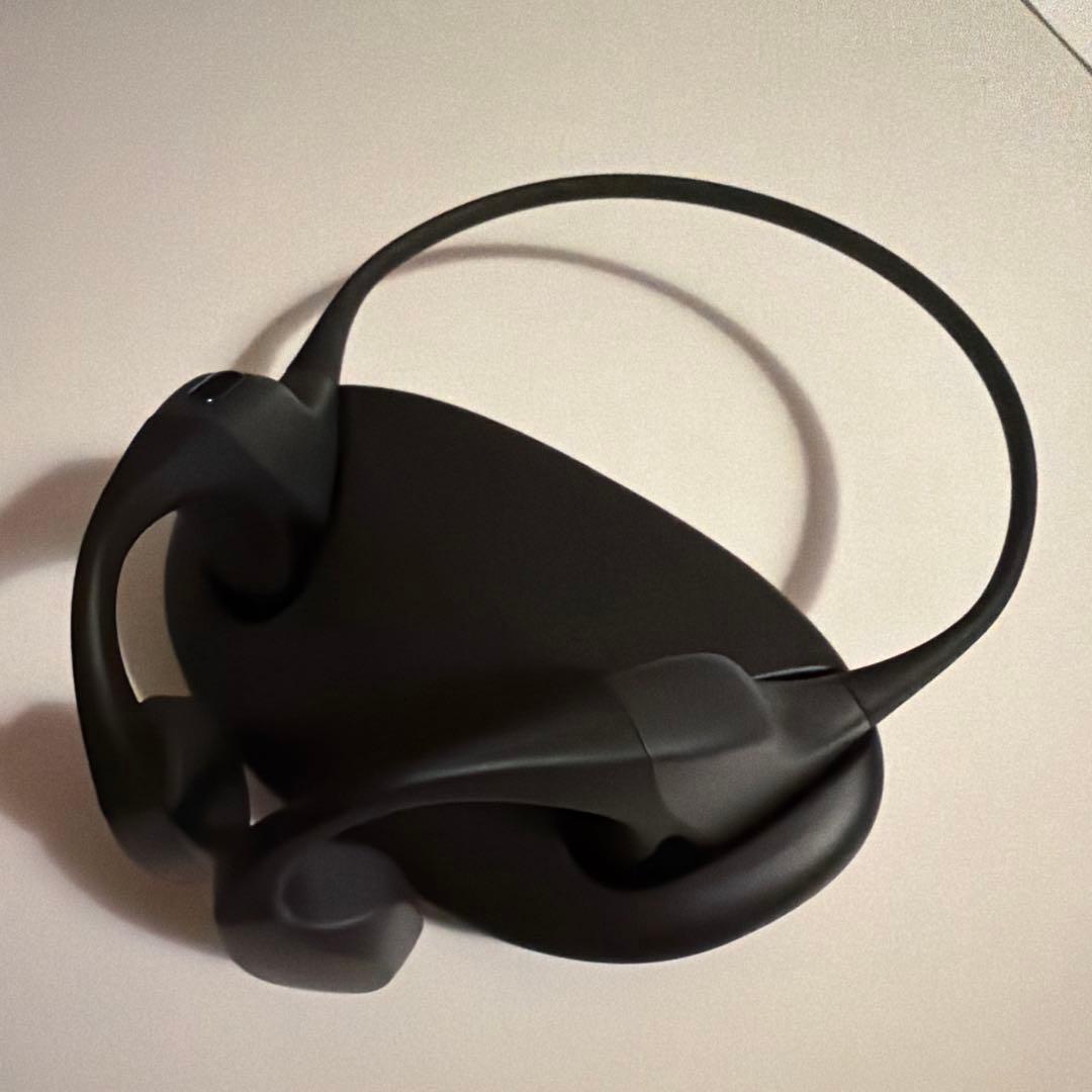 kikippaイヤホン ガンマ波サウンドケア