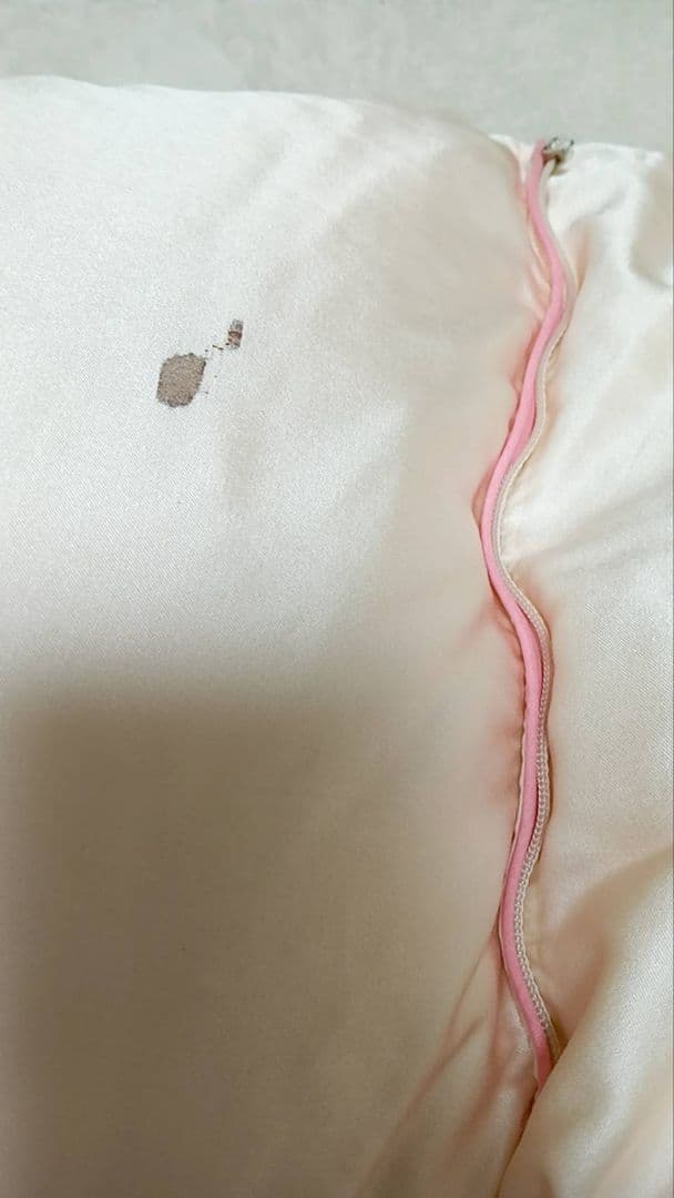 tak-tgo　丸八真綿　ソワリー　ダウン90%　羽毛1.5キロ　シミあり