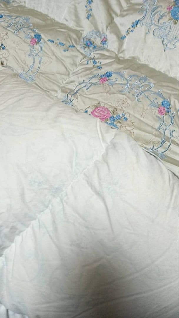 tak-tgo　丸八真綿　ソワリー　ダウン90%　羽毛1.5キロ　シミあり