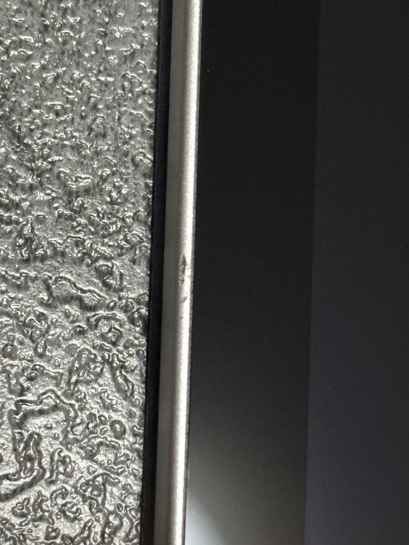 Apple iPad 11 インチ (A16): 11 インチ 126GB