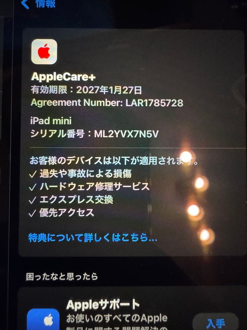 iPad mini（第7世代:256GB）Wi-Fi＋Cellularモデル