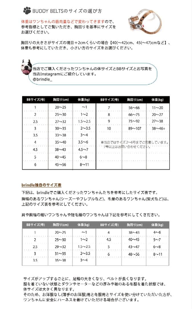 バディベルト ラインストーン