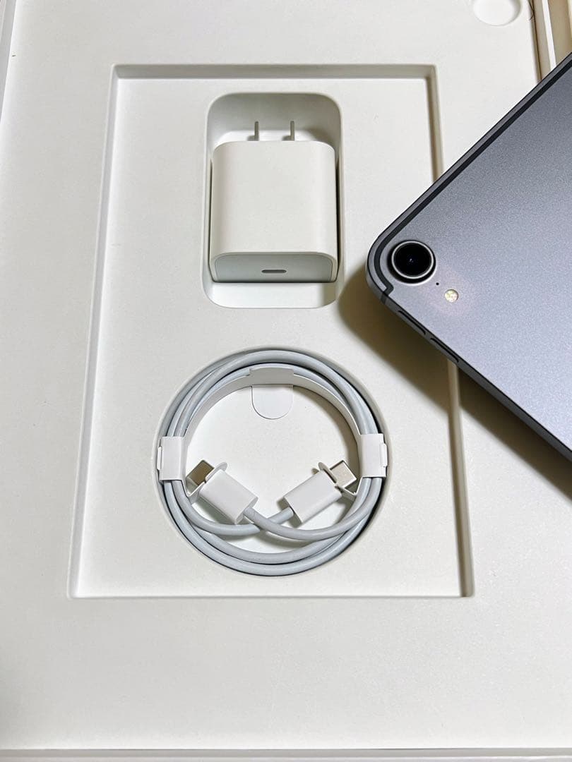 iPad Pro 11インチ（第1世代）64B Cellular +Wi-Fi