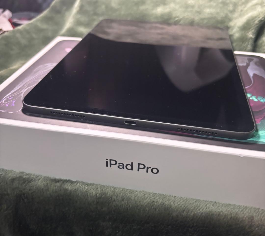 iPad Pro 11インチ 第1世代 Wi-Fi 1TB MTXV2J/A