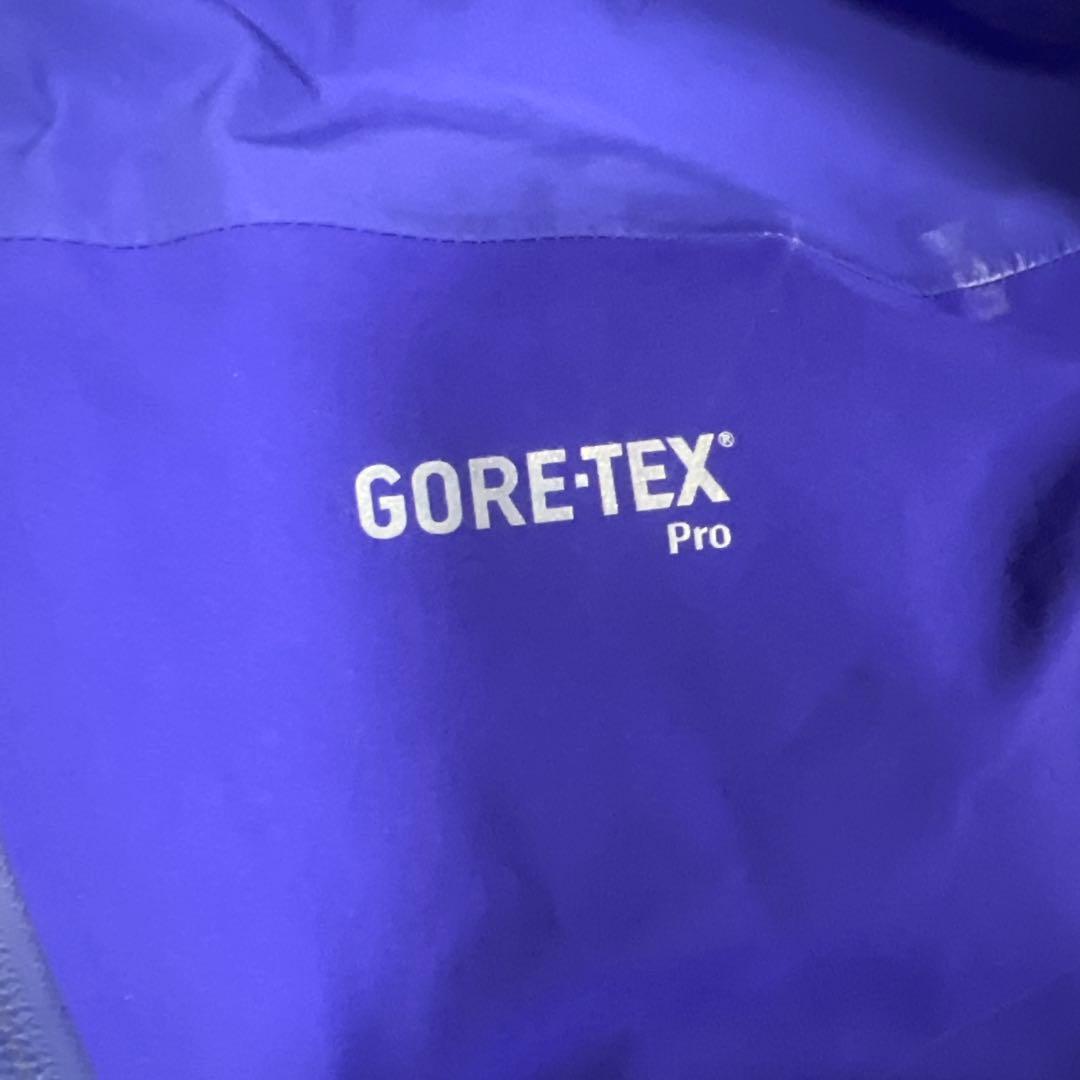 ジャンク品 HAGLOFS ビブパンツ GORE TEX PRO メンズL