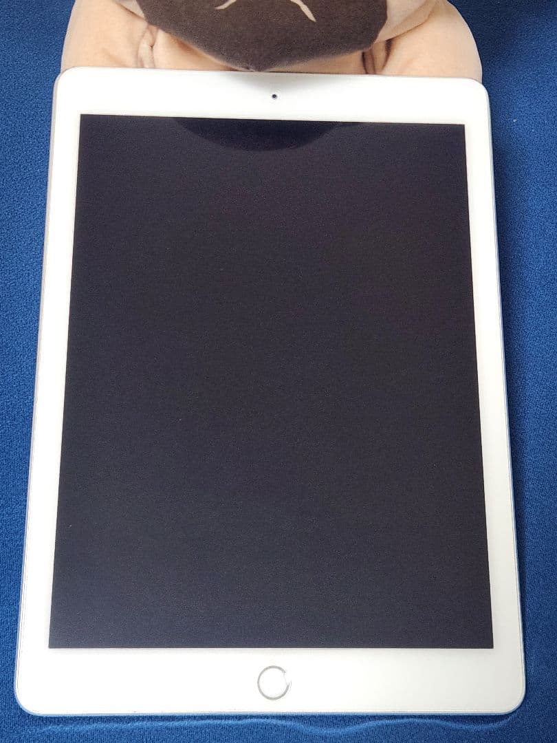 iPad Pro 9.7 256GB シルバー ペン キーボード