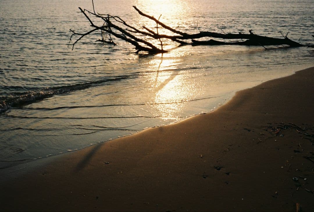 CONTAX T コンパクトフィルムカメラ