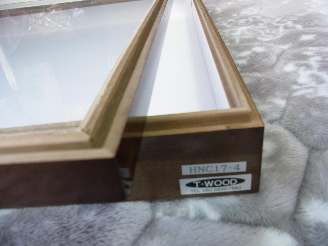 標本箱 T-WOOD 新品 未使用 幅500mm+x高410mm+x厚60mm位