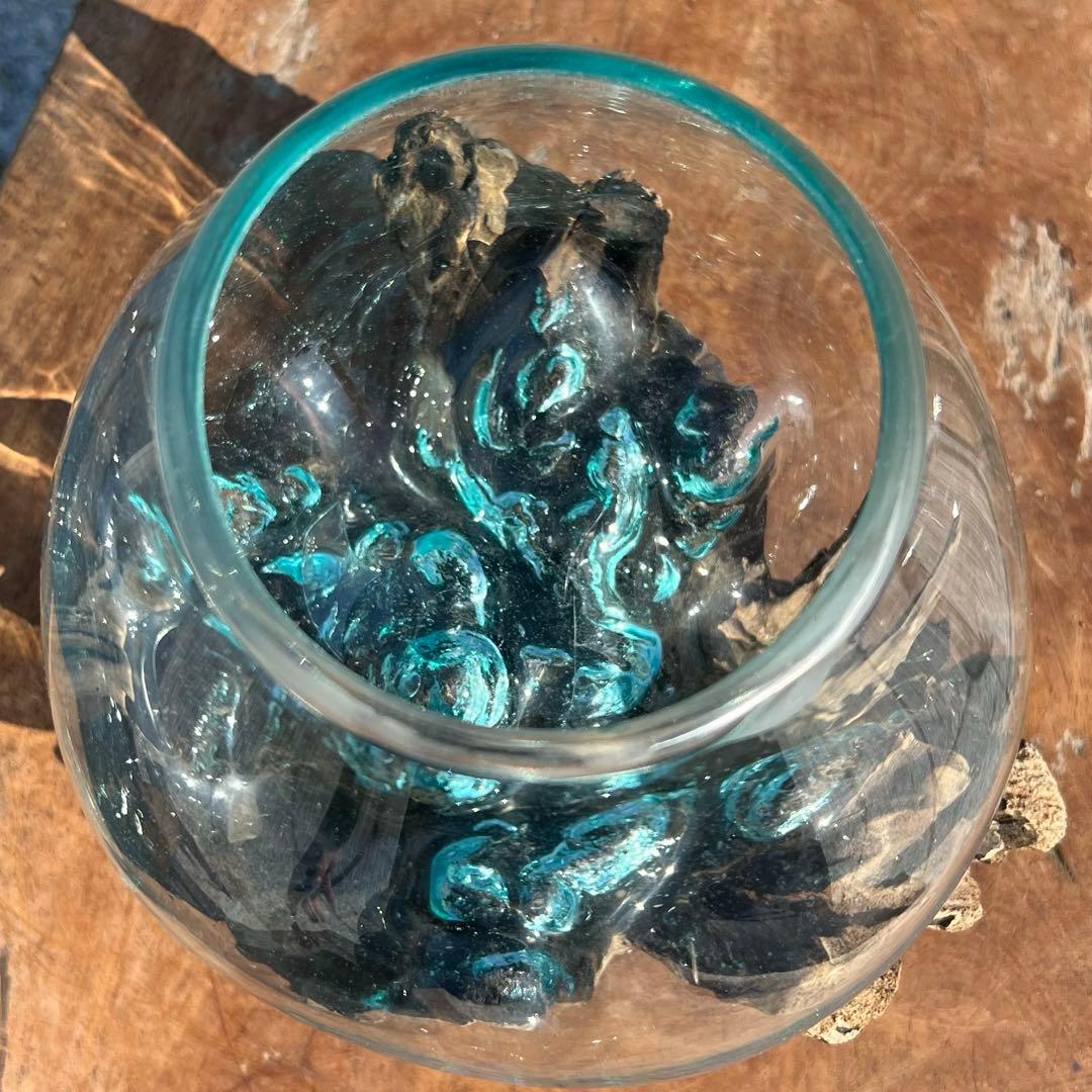 流木ガラス オブジェ中R 花瓶 金魚鉢 ガーデニング テラリウム 観賞魚 容器