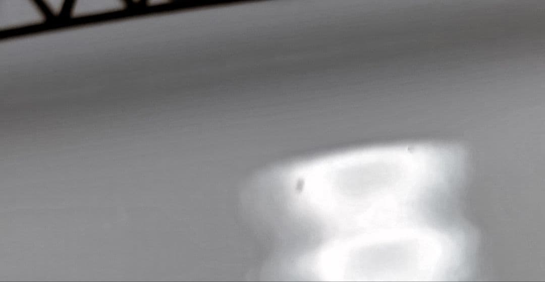 未使用 レア ウェッジウッド バーリントン BBプレート