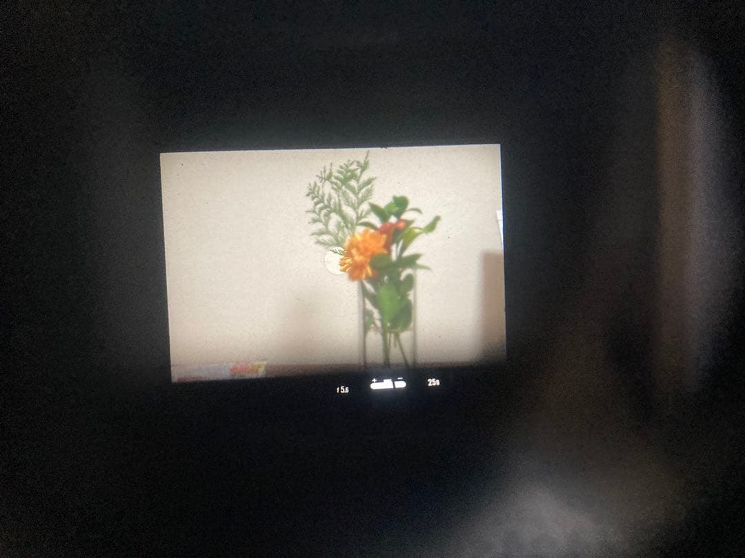 Nikon F2 フォトミックブラックボディ　レンズ、純正本革ケース、使用説明書