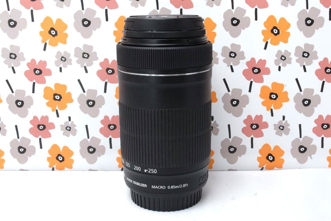 ❤Canon EF-S 55-250mm IS STM❤とても美品❤望遠レンズ❤