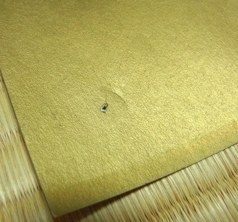 【送料無料】貴重・非売品 2003年 阪神タイガース優勝記念 B全ポスター