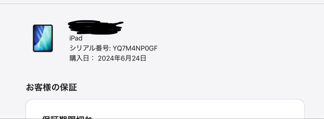 【バッテリー状態100%美品】 第10世代 ブルー 64GB WiFiモデル