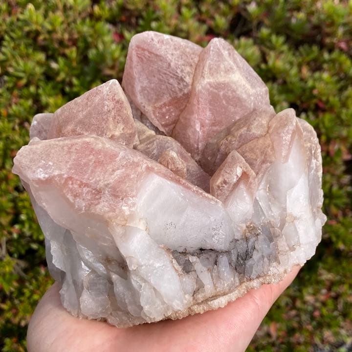 ドリームシクルレムリアンシード クラスター 原石