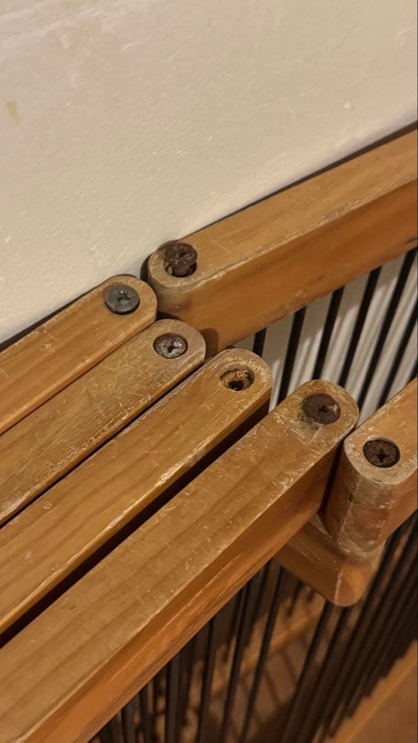 フェレット　メディカル60