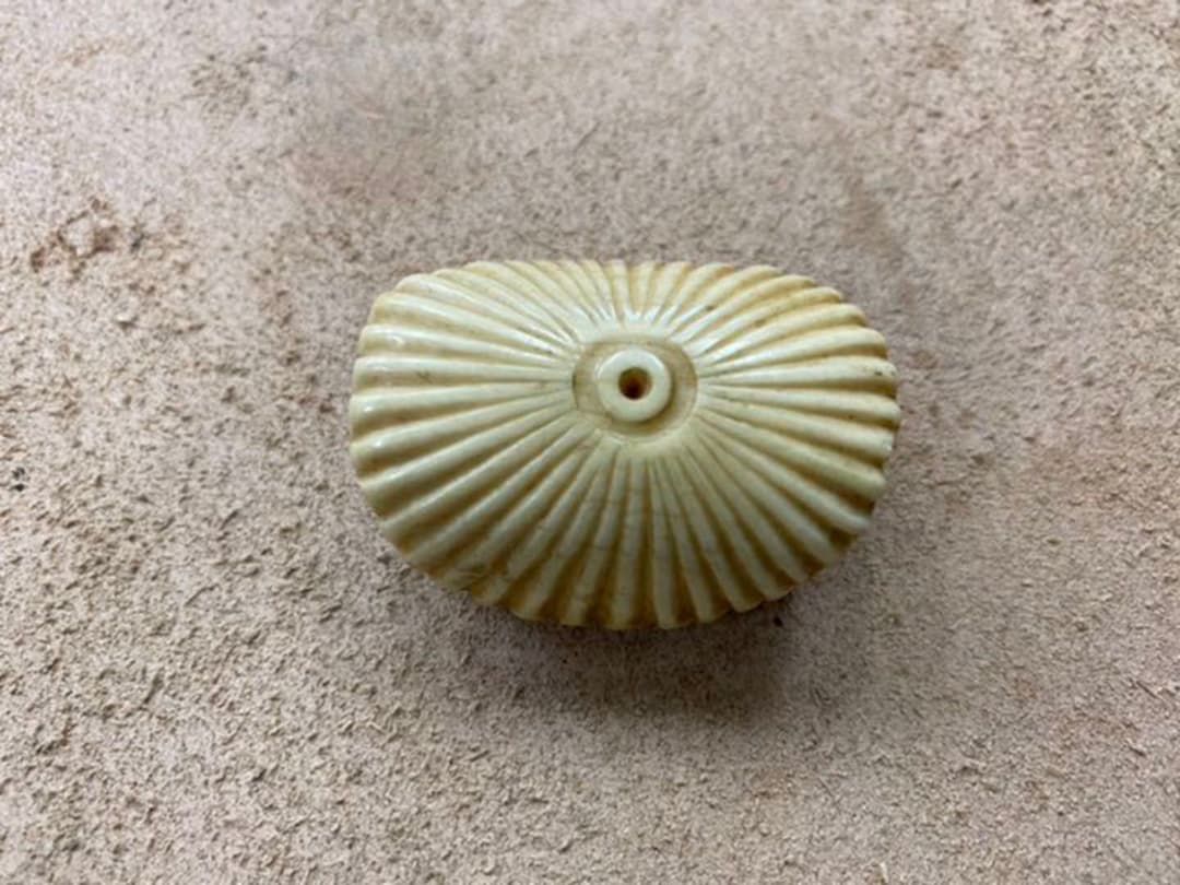 オークセール】根付(ねつけ) 変わり柄