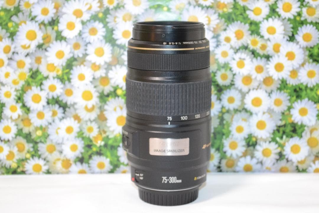 ❤️美品❤️Canon EF 75-300mm IS USM❤️超望遠❤️人気
