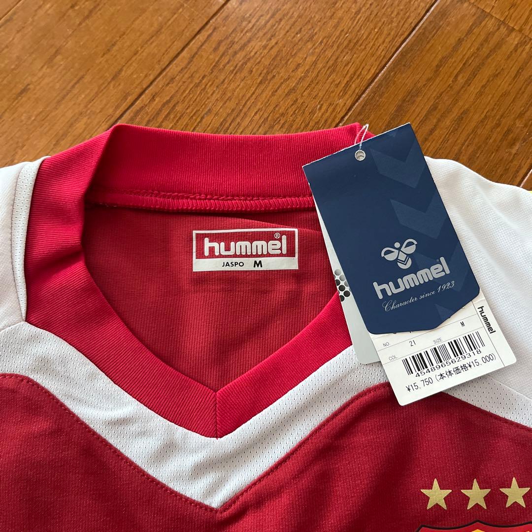 INAC神戸　澤穂希選手　8番