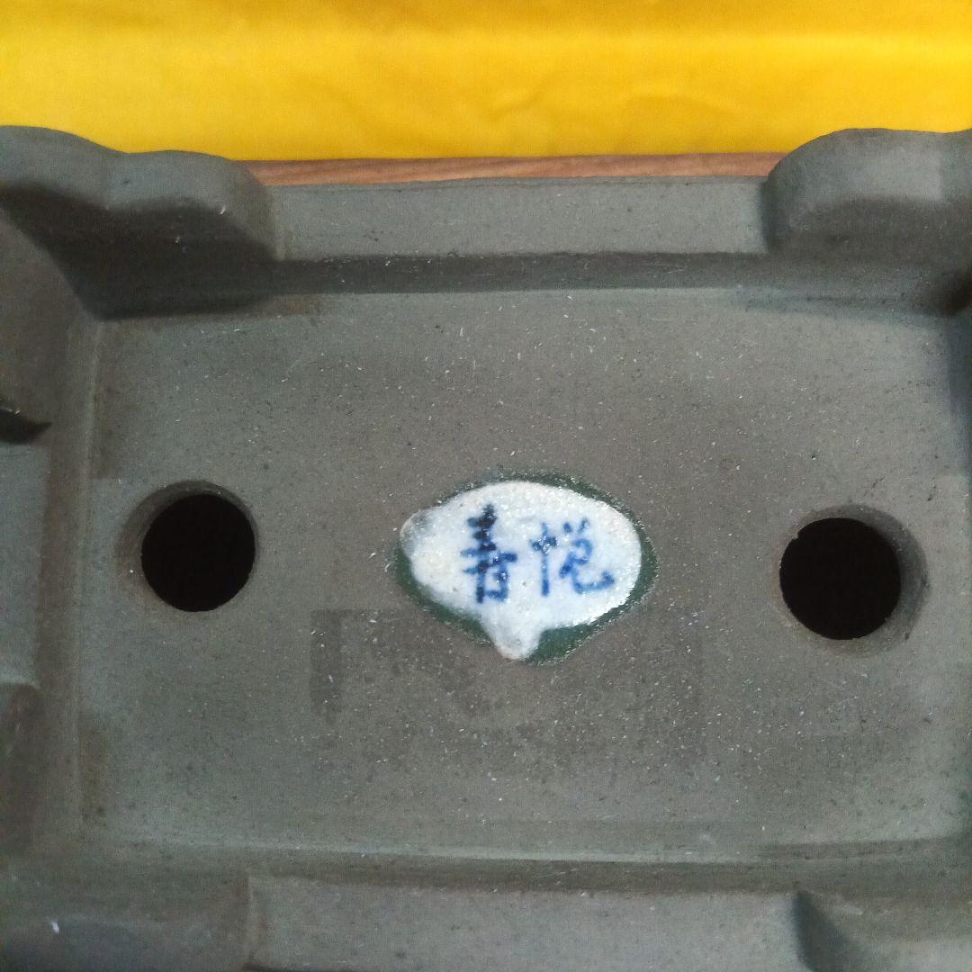 012.【寿悦】外縁額面長方鉢/ミニ盆栽鉢/木箱付き