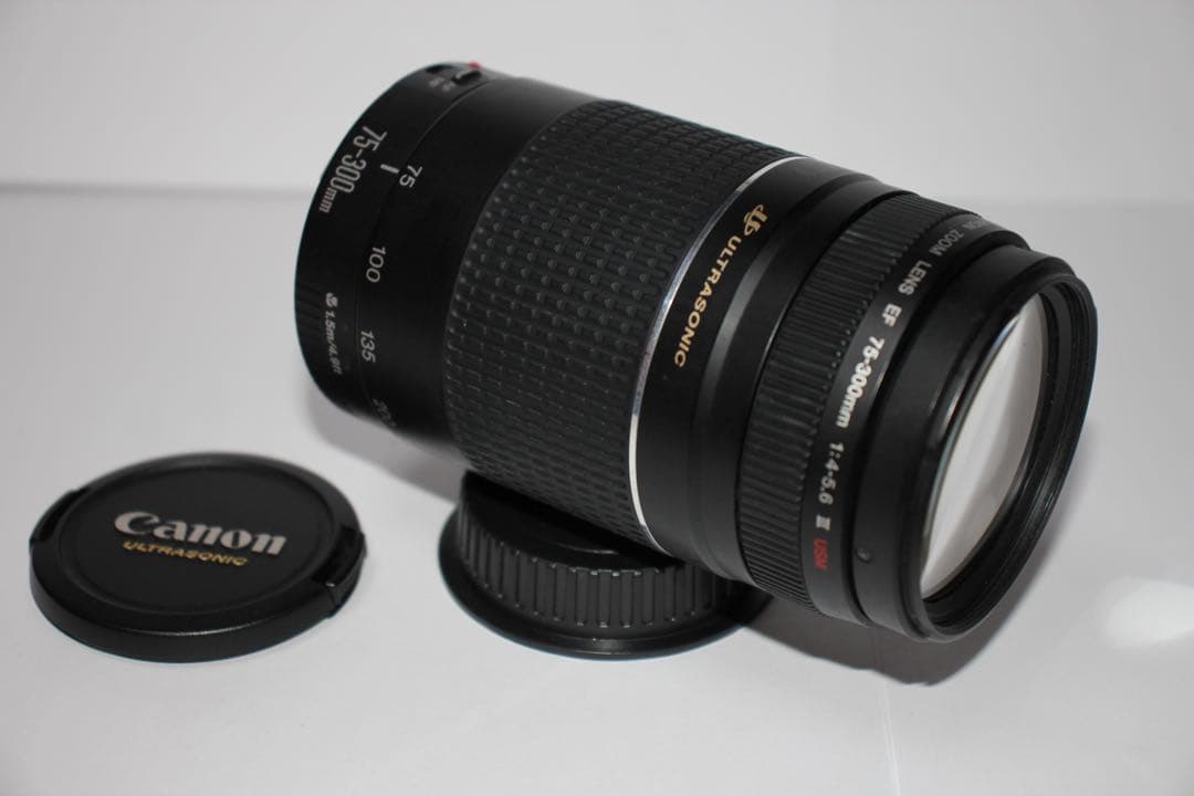 ☆フード付☆CANON EF 75-300mm F4-5.6 III USM☆