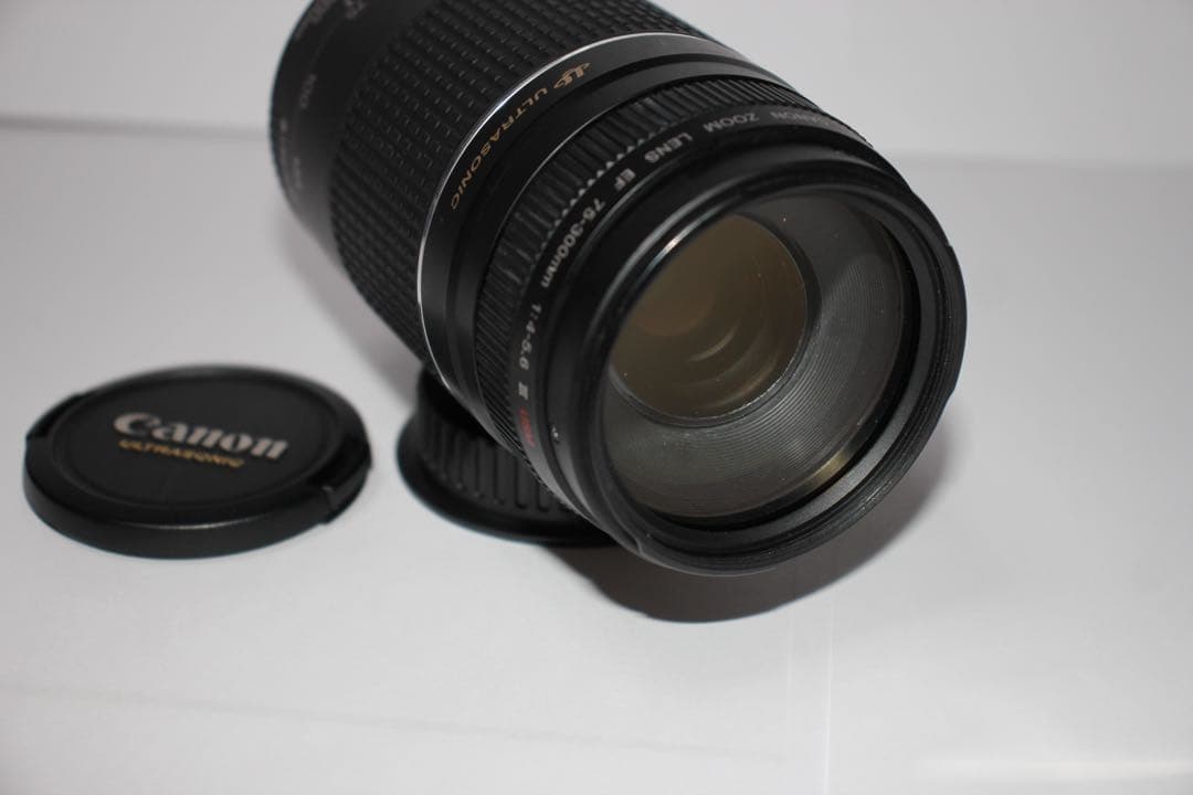 ☆フード付☆CANON EF 75-300mm F4-5.6 III USM☆