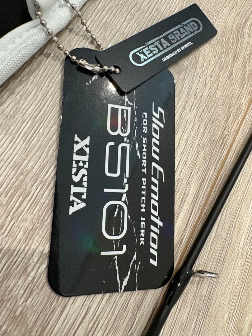 ゼスタ　スローエモーション　B5101