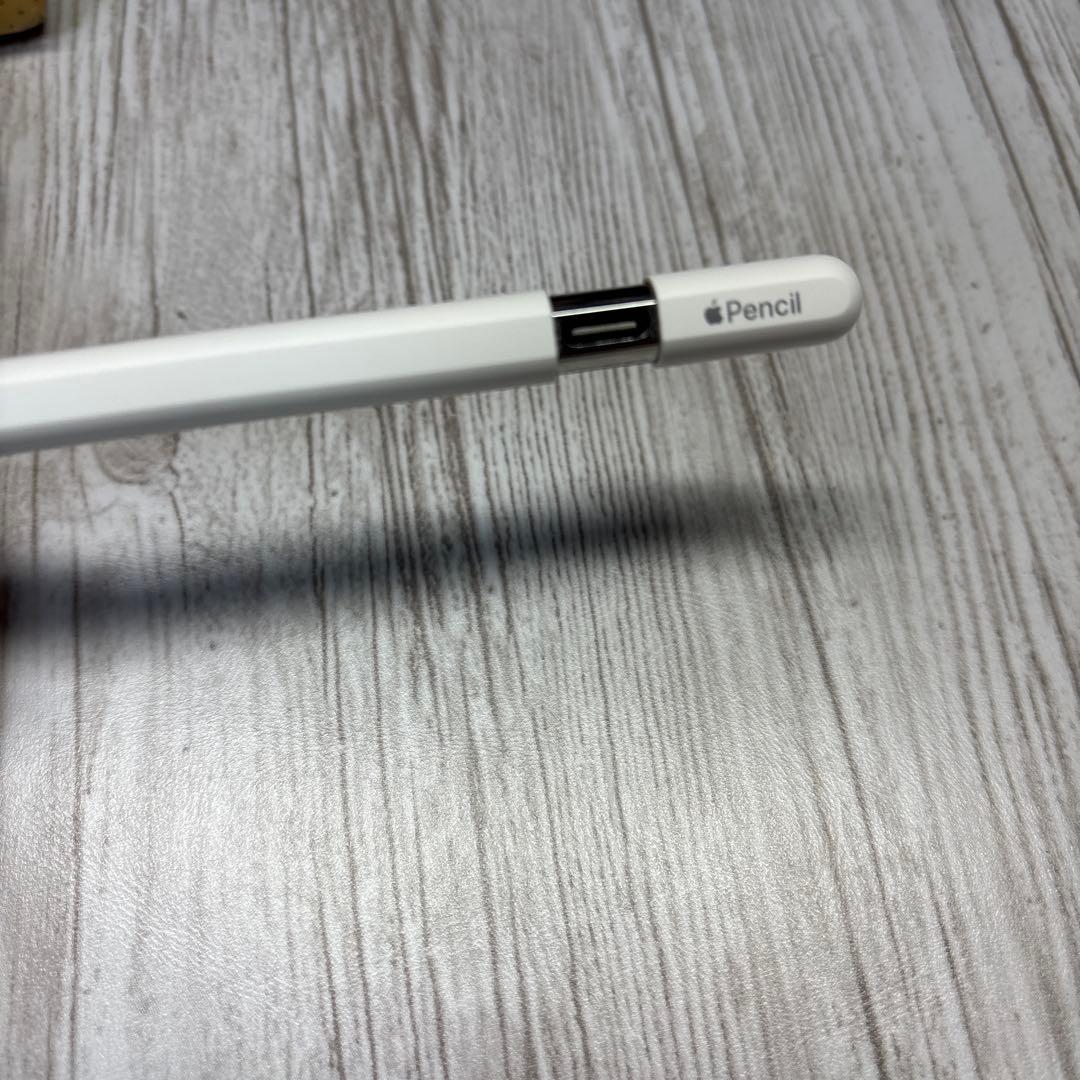iPadアクセサリー Apple Pencil (usb-c)