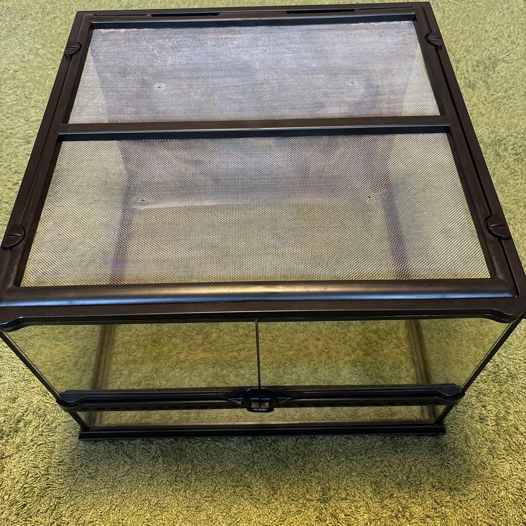 GEX ジェックス グラステラリウム4530 飼育セット