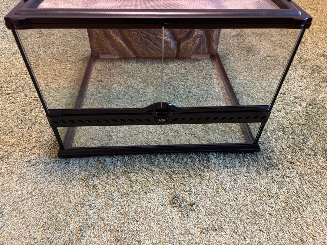 GEX ジェックス グラステラリウム4530 飼育セット