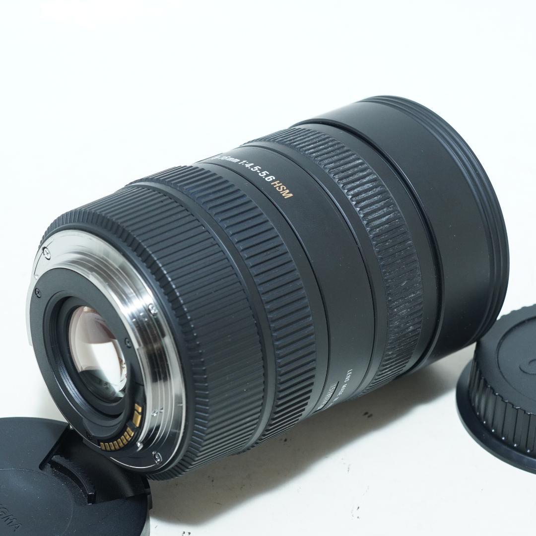 SIGMA 8-16 4.5-5.6 DC HSM キャノン用